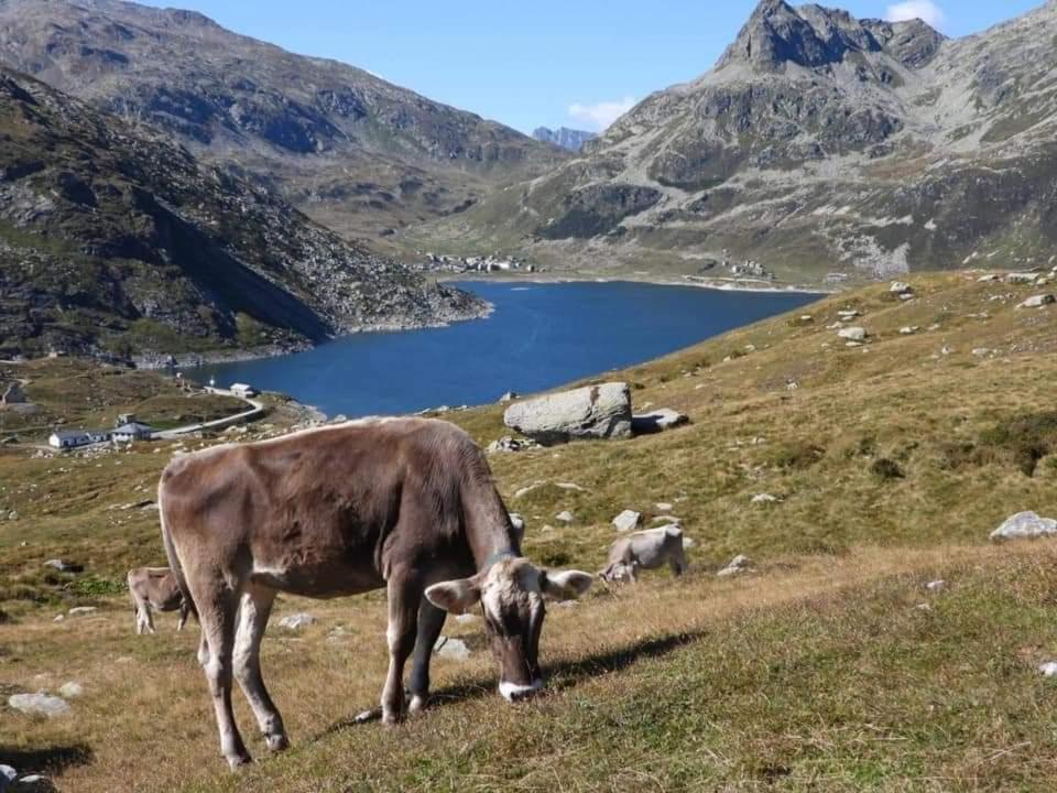 Mansarda Vista Lago A Камподольчино Экстерьер фото